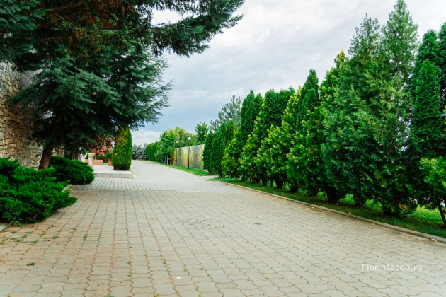 Galerie Sala Pergolă & Piscină